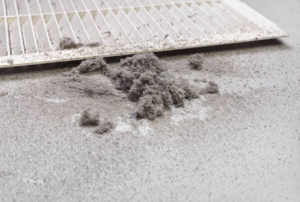 Best Local Air Duct Cleaning Services  in Moline, IL