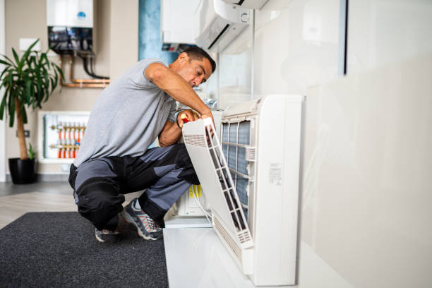 Air Duct Mold Removal in IL