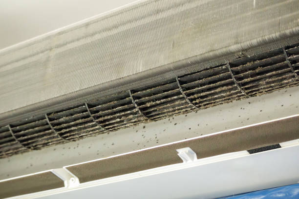 Best Residential Air Duct Cleaning  in Moline, IL